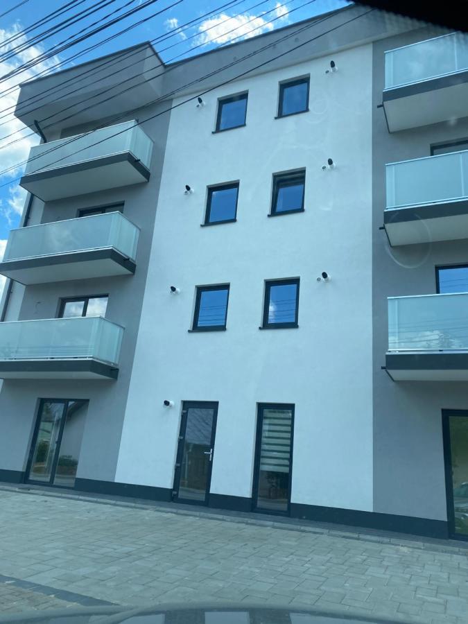 Luxury Queen Câmpulung Moldovenesc Extérieur photo